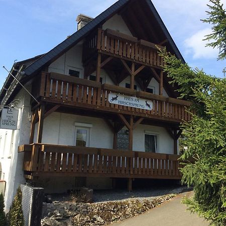 Pension Haus Am Hirschsprung Willingen  Esterno foto