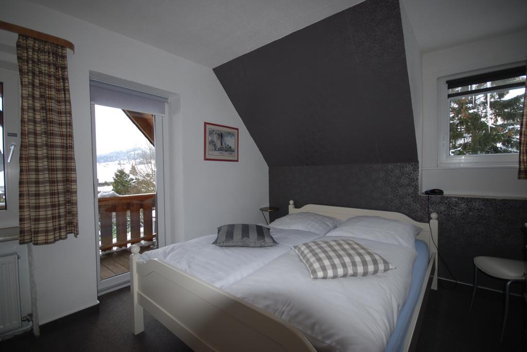Pension Haus Am Hirschsprung Willingen  Esterno foto