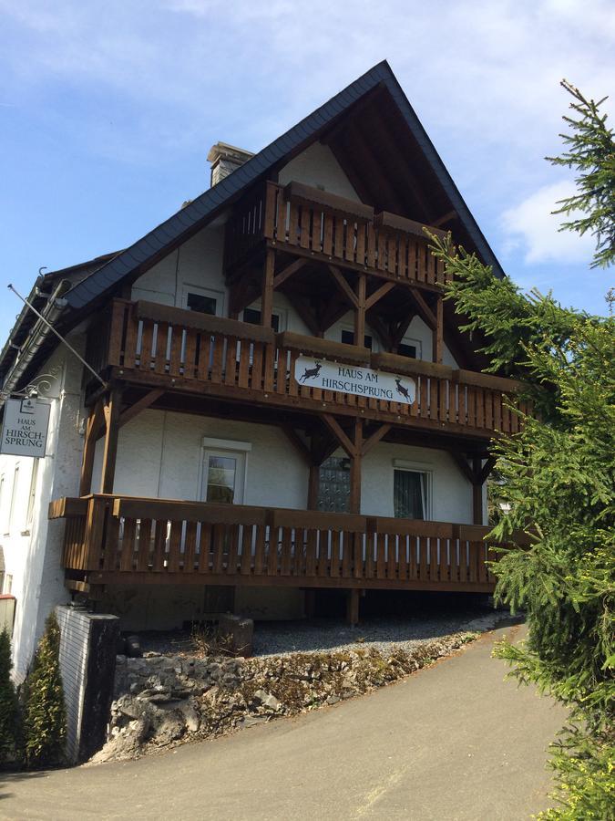 Pension Haus Am Hirschsprung Willingen  Esterno foto